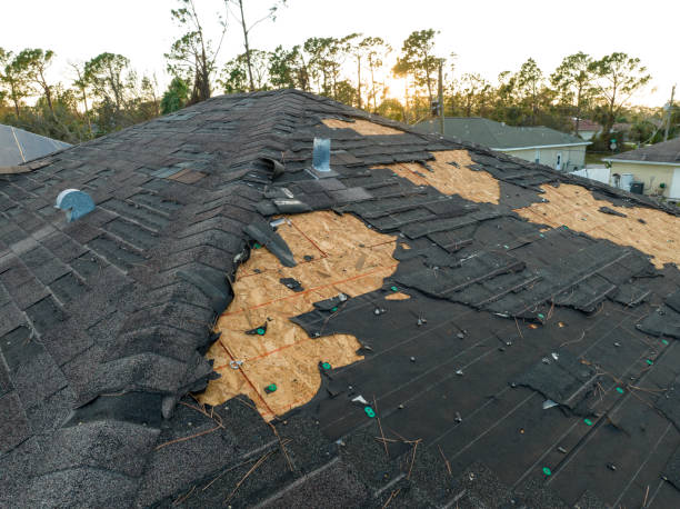 Best Wood Shake Roofing  in Crozet, VA